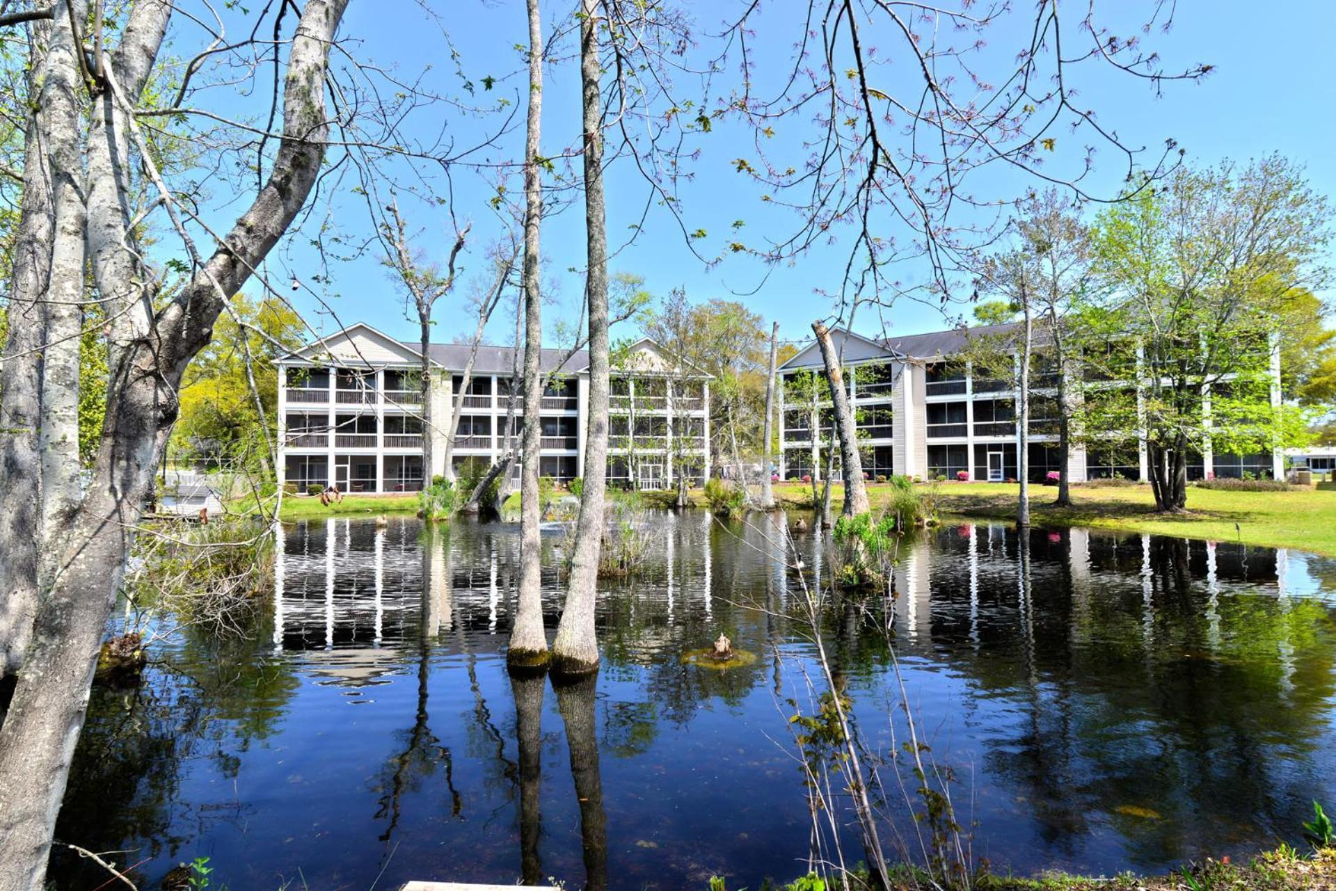 All New Luxury Beach Retreat 1 Mile To Beach W Pool Myrtle Beach Bagian luar foto