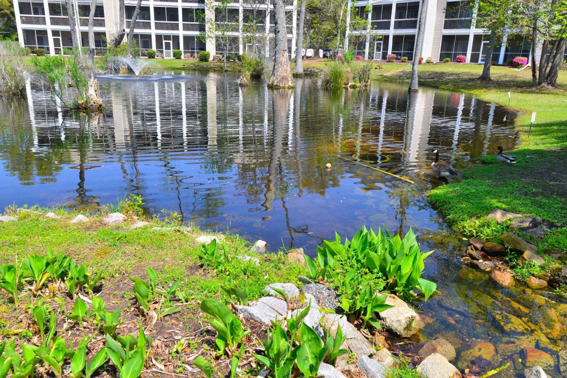 All New Luxury Beach Retreat 1 Mile To Beach W Pool Myrtle Beach Bagian luar foto